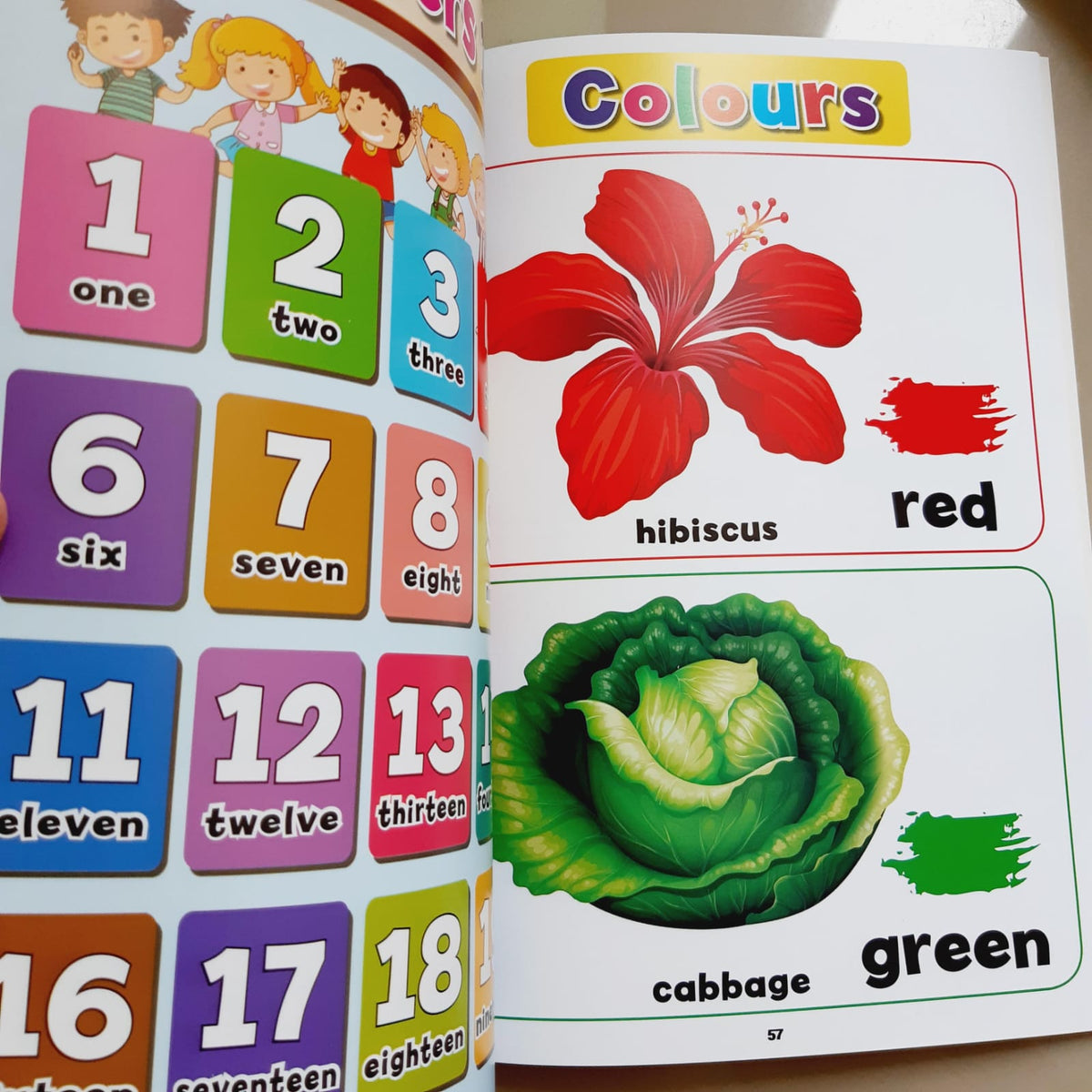 MY FIRST PICTURE VOCABULARY