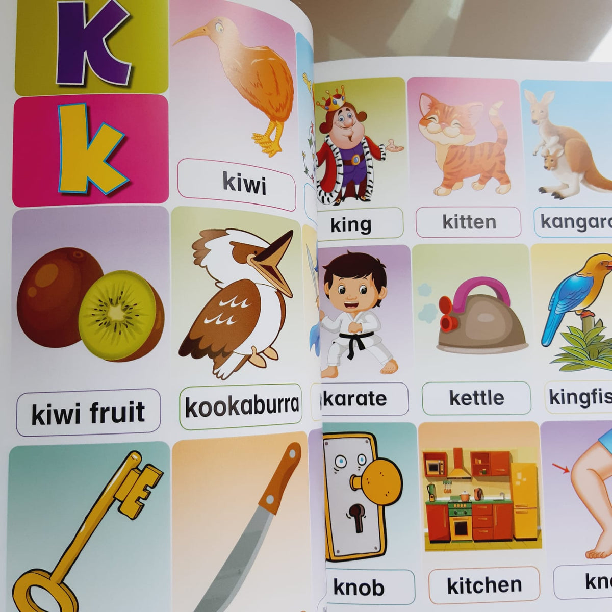 MY FIRST PICTURE VOCABULARY
